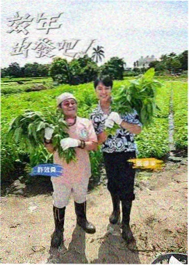 明星大侦探 影音先锋在线看